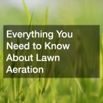 Everything You Need to Know About Lawn Aeration