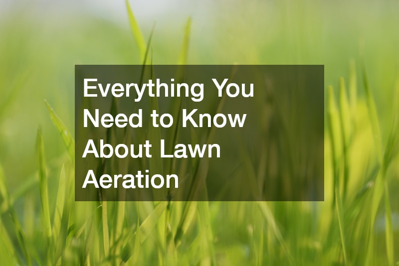 Everything You Need to Know About Lawn Aeration