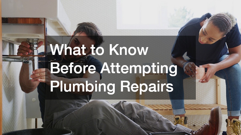 What to Know Before Attempting Plumbing Repairs